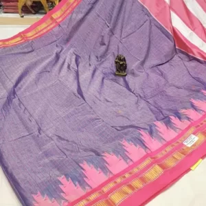 big-gadwal-chex-paithani-saree